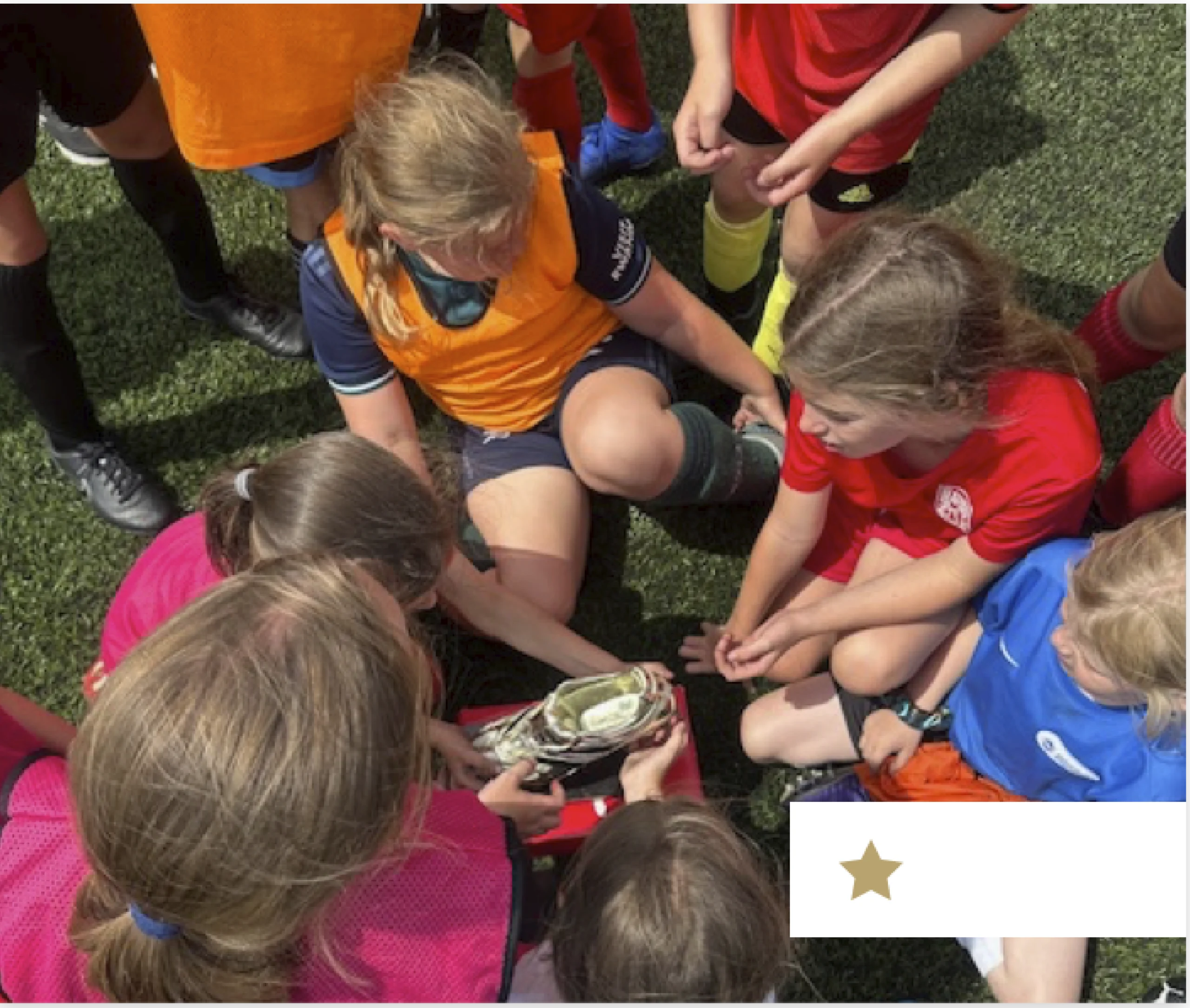 Lioness Coaching-02